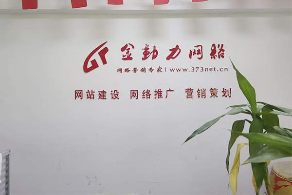河南金動力網絡推廣公司2025年比較好多網絡推廣方式有哪些？